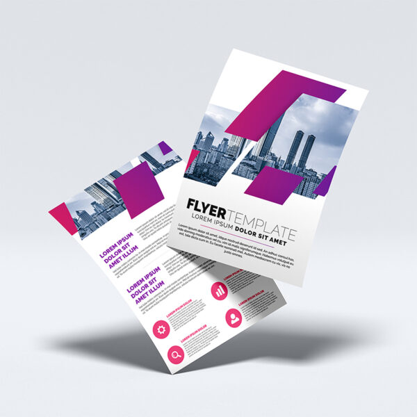 Premium 2 X 6" Flyers