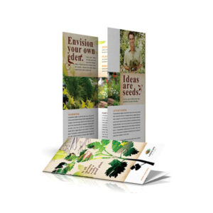 8.5 x 14 Brochure