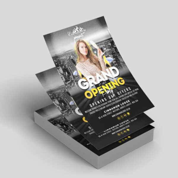 Premium  3 x 4" Flyers
