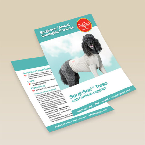 Premium 6 x 9" Flyers - Image 2